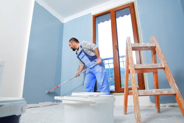 Best Black Mold Removal  in New Lebanon, OH