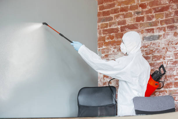 Best Mold Documentation for Insurance Claims  in New Lebanon, OH
