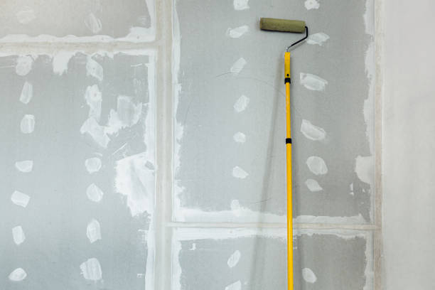 Best Dehumidification Services  in New Lebanon, OH