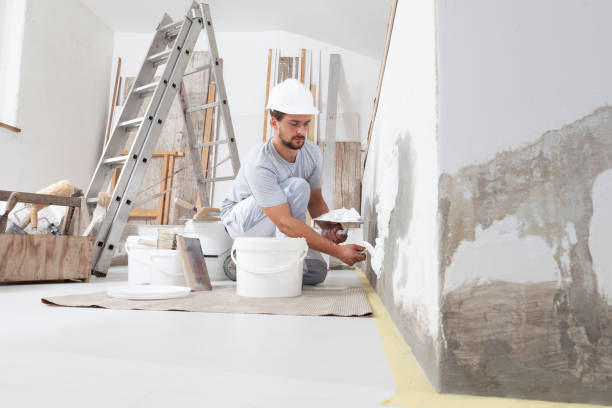 Best Commercial Mold Inspection  in New Lebanon, OH