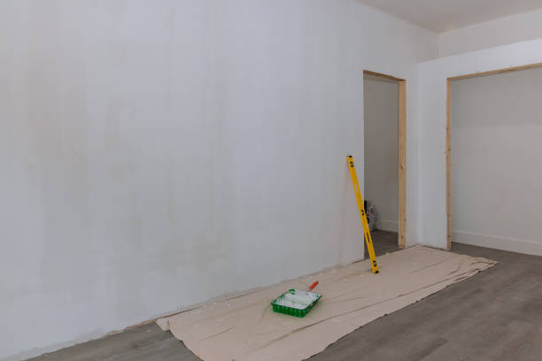 Best Basement Mold Removal  in New Lebanon, OH