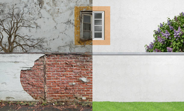 Best Mold Prevention Services  in New Lebanon, OH